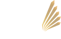 Orły Transportu